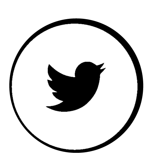 twitter icon